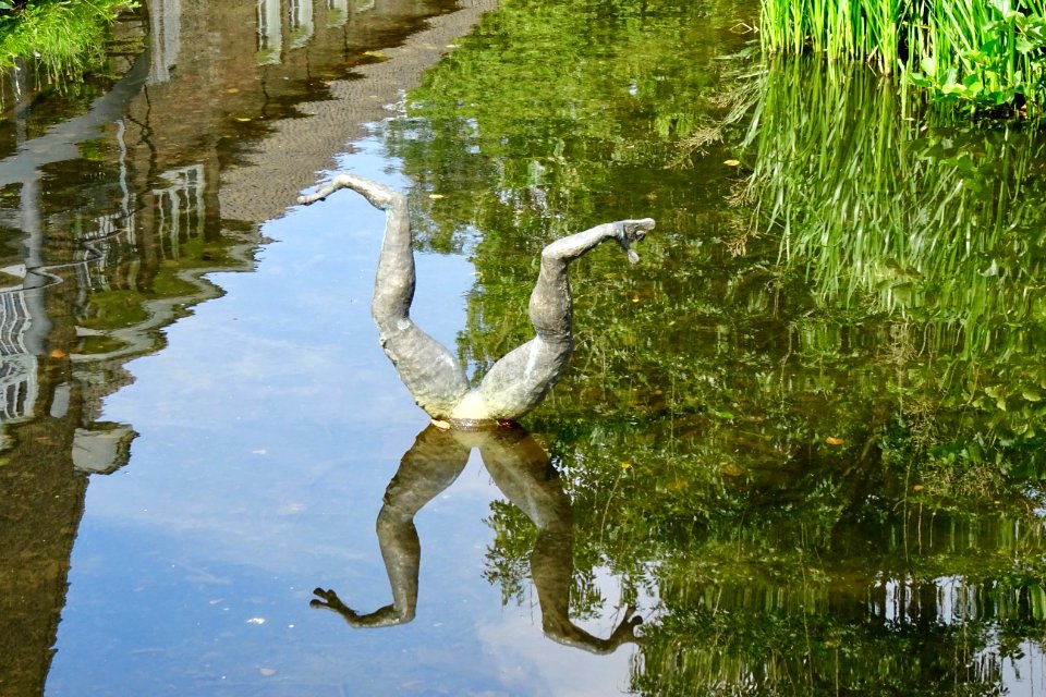 20140822_Duikende_kikker_bij_Begijnenmolen_Park_Sonsbeek_Arnhem