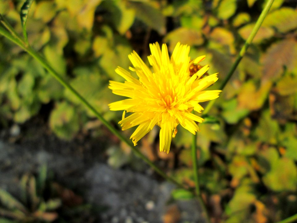 20141027Bürgerpark1