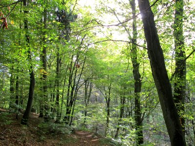 20141026Habsterwiesen_Saarbruecken04