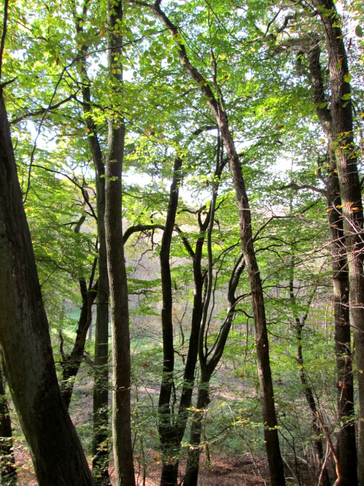 20141026Habsterwiesen_Saarbruecken05