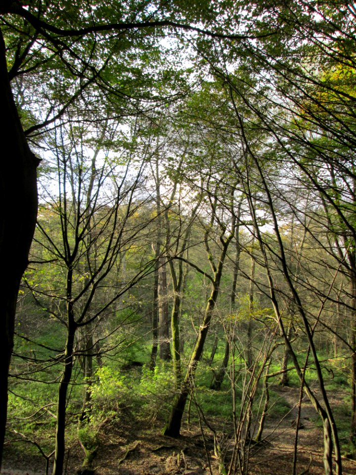 20141026Habsterwiesen_Saarbruecken09