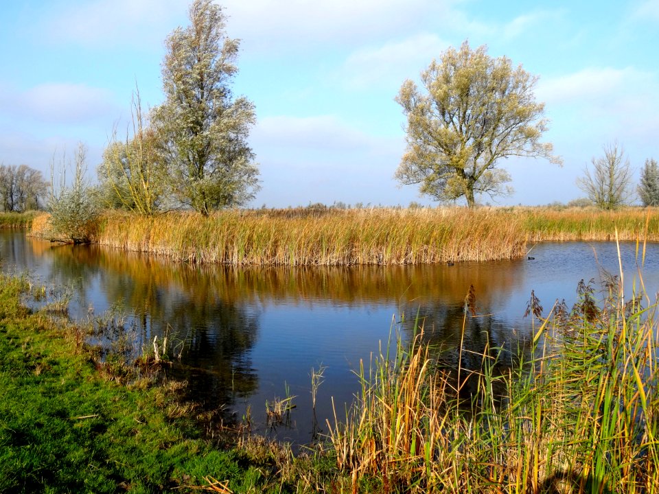 20141028_Oostvaardersplassen