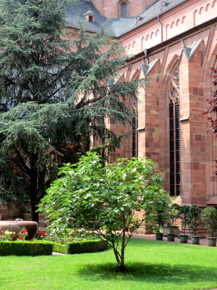 20140801Mainzer_Dom8
