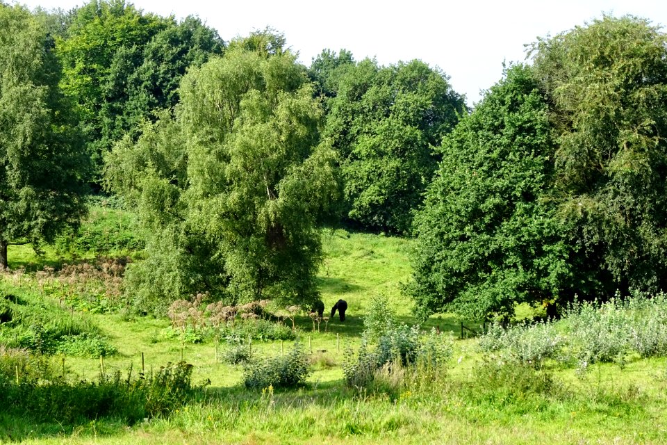 20140822_Zicht_vanaf_de_heuvel_nabij_de_Braamberg_Arnhem