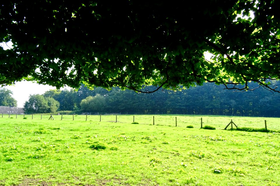 20140822_Galgenberg_Arnhem