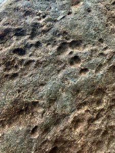 3rd-century_BCE_Jonnagiri_Erragudi_Yerragudi_Asoka_rock_edict_inscription,_Andhra_Pradesh_India_-_102
