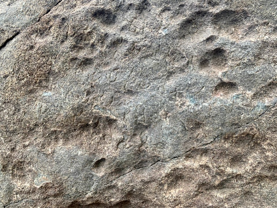 3rd-century_BCE_Jonnagiri_Erragudi_Yerragudi_Asoka_rock_edict_inscription,_Andhra_Pradesh_India_-_12