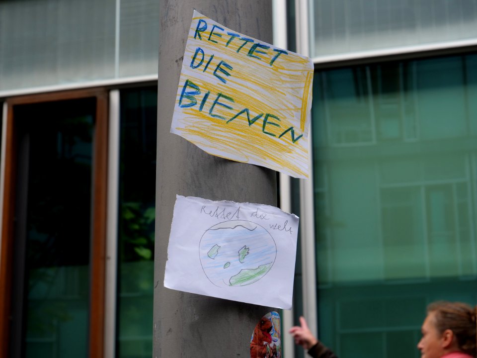 3rd_Global_Climate_Strike_Berlin_FridaysForFuture_demonstration_03