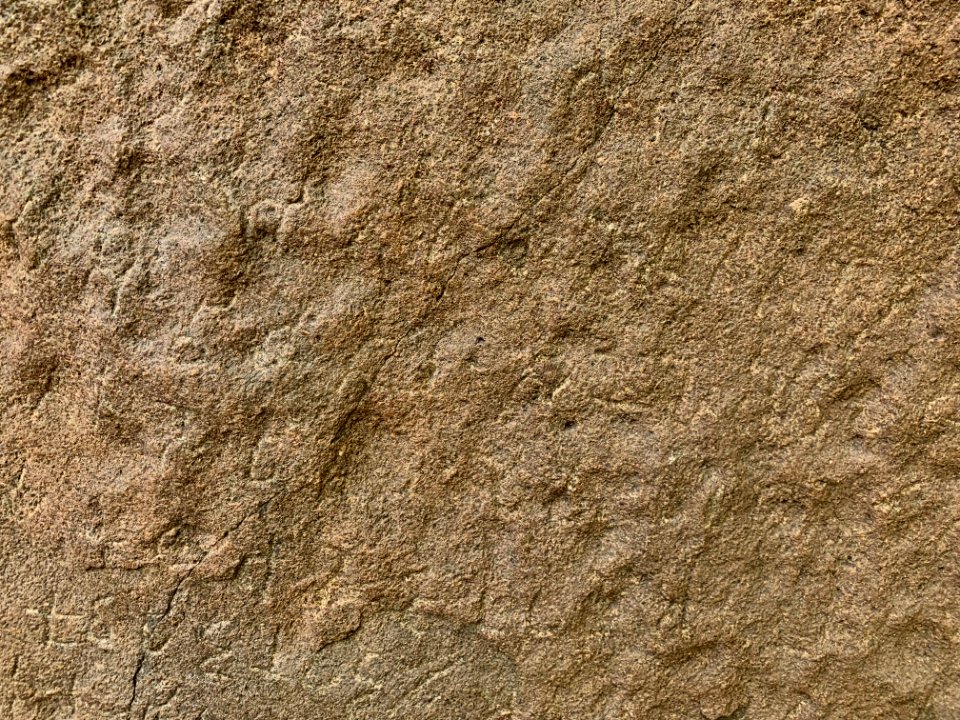 3rd-century_BCE_Jonnagiri_Erragudi_Yerragudi_Asoka_rock_edict_inscription,_Andhra_Pradesh_India_-_19