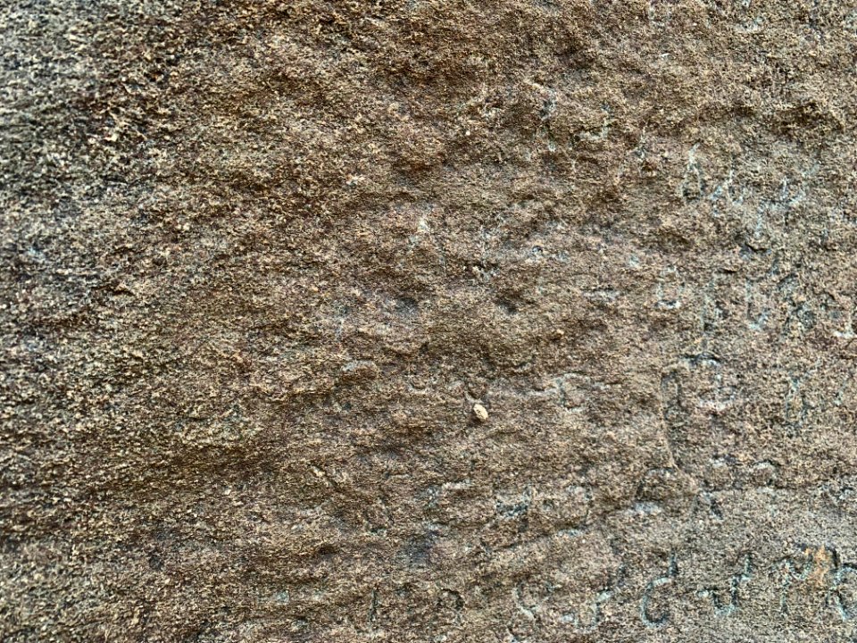 3rd-century_BCE_Jonnagiri_Erragudi_Yerragudi_Asoka_rock_edict_inscription,_Andhra_Pradesh_India_-_77