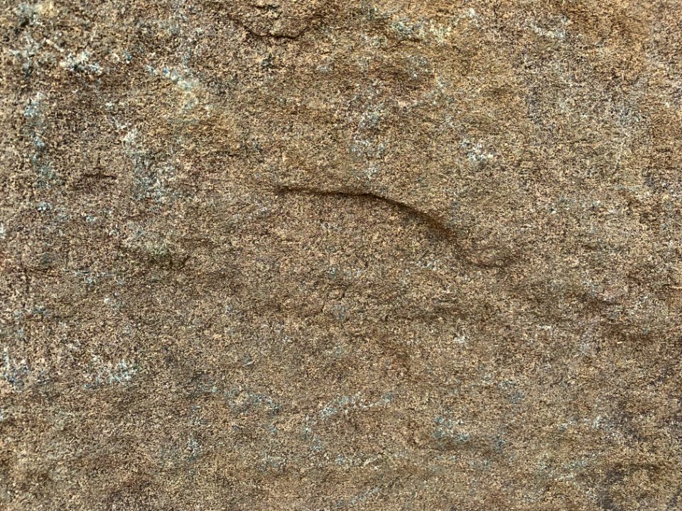 3rd-century_BCE_Jonnagiri_Erragudi_Yerragudi_Asoka_rock_edict_inscription,_Andhra_Pradesh_India_-_89