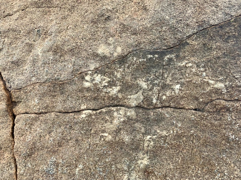 3rd-century_BCE_Jonnagiri_Erragudi_Yerragudi_Asoka_rock_edict_inscription,_Andhra_Pradesh_India_-_80