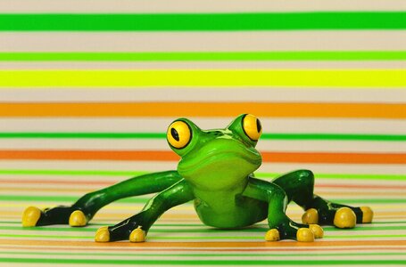 Cute animal fun