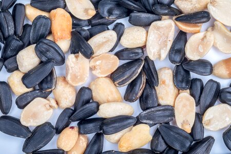 Sunflower black peanuts