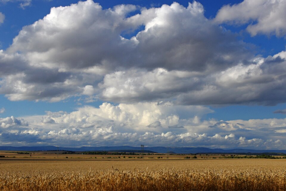 Blue blue sky field