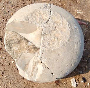 3rd_century_BCE_to_7th_century_CE_Sannathi_Sannati_Sonti_ancient_city_archaeological_site,_Karnataka_India_-_59