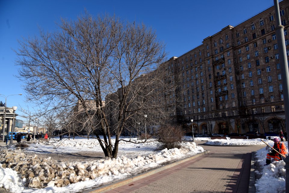 3683_February_2019_in_Moscow