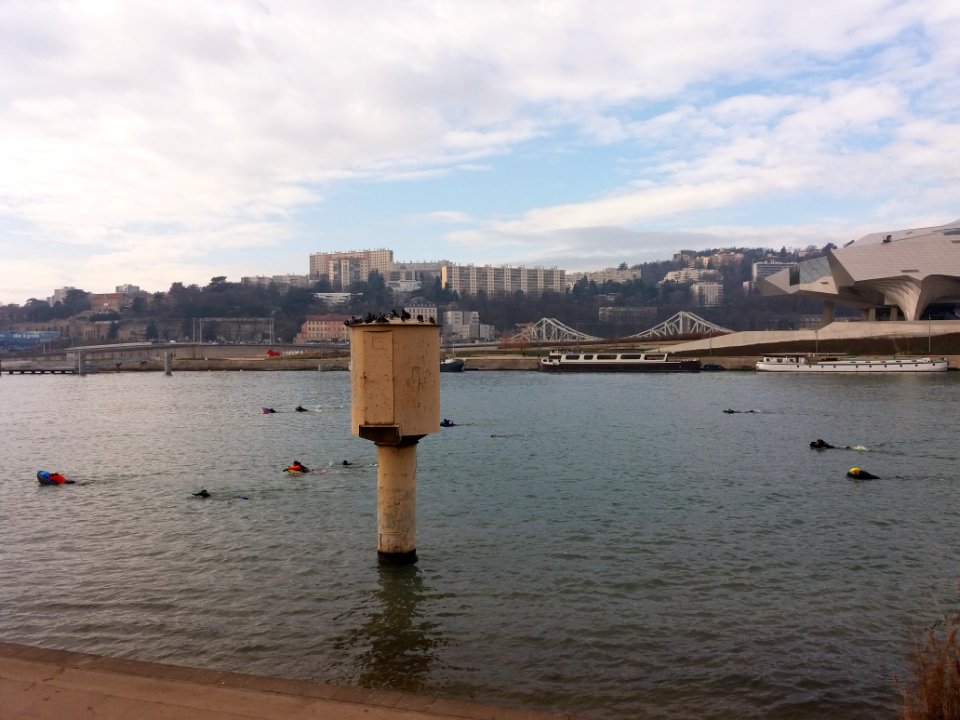 39e_traversée_de_Lyon_à_la_nage_avec_palme_-_Arrivée_à_Gerland_-_05