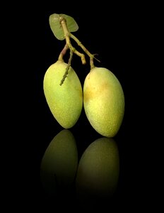 Mangoes fresh organic