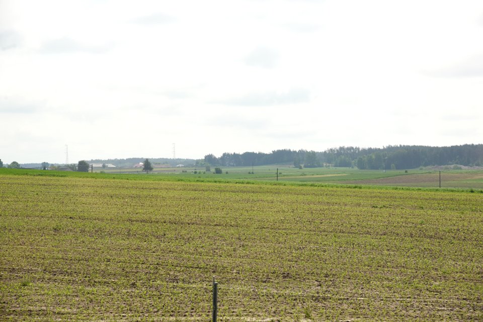 3976_Fields_in_Podlaskie_Voivodeship,_May_2019