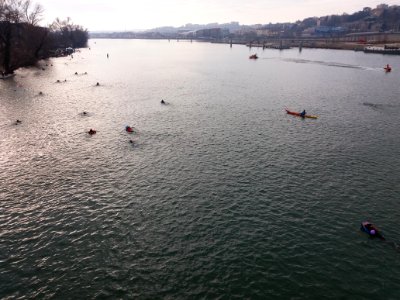 39e_traversée_de_Lyon_à_la_nage_avec_palme_-_Arrivée_à_Gerland_-_04