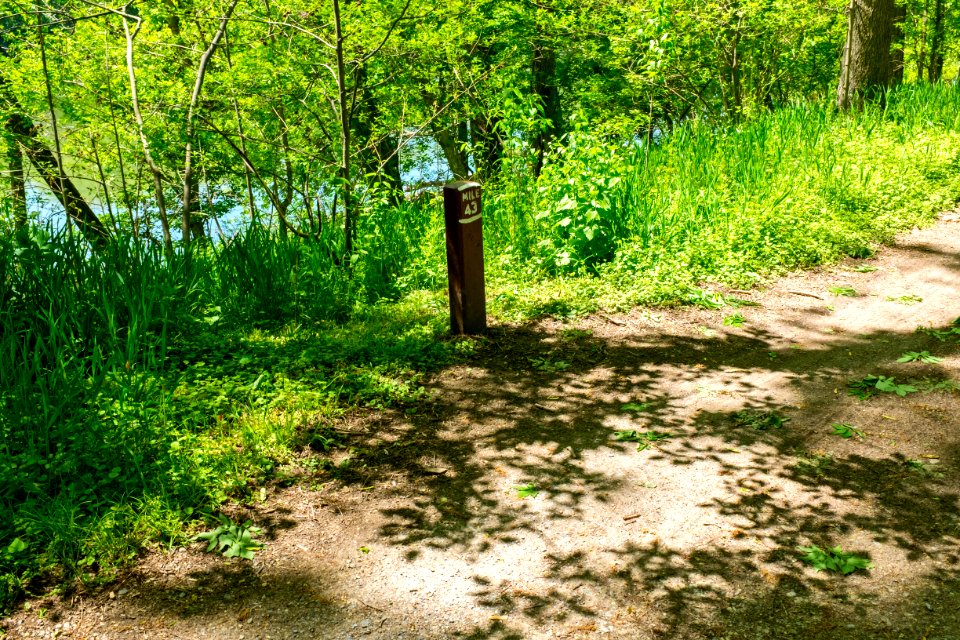 43_Mile_Marker_on_Chesapeake_and_Ohio_Canal