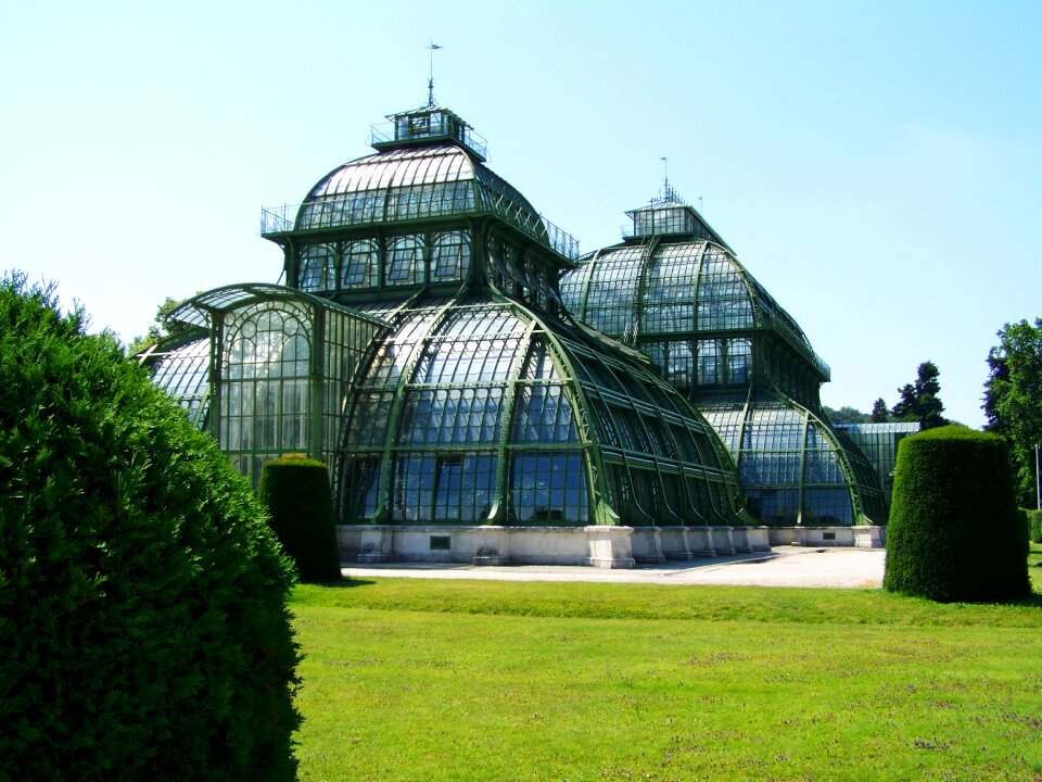 Palm house schönbrunn vienna photo