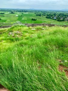3rd_century_BCE_to_4th_century_CE_Buddhist_monastery_and_artwork,_Phanigiri_Telangana_India_-_33
