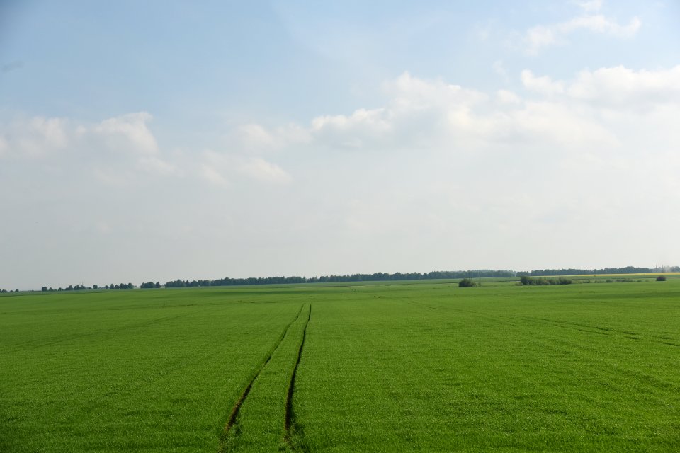 4255_Hrodna_Region,_Belarus._May_2019
