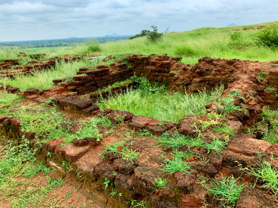 3rd_century_BCE_to_4th_century_CE_Buddhist_monastery_and_artwork,_Phanigiri_Telangana_India_-_8
