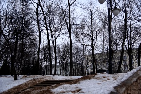 3821_February_2019_in_Smolensk
