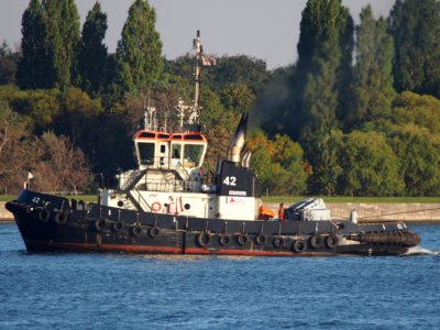 42_(tugboat,_2012)_IMO_9602112,_ENI_06105321,_Port_of_Antwerp_pic1