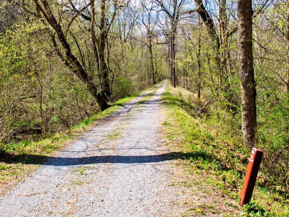 42_Mile_Mark_on_7_mile_level_Chesapeake_and_Ohio_canal