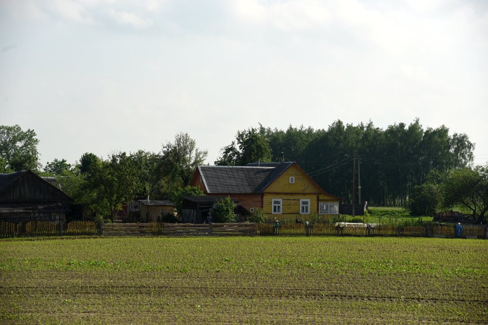 4256_Hrodna_Region,_Belarus._May_2019