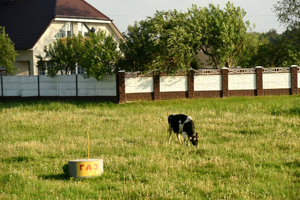 4280_Lida,_Belarus._May_2019