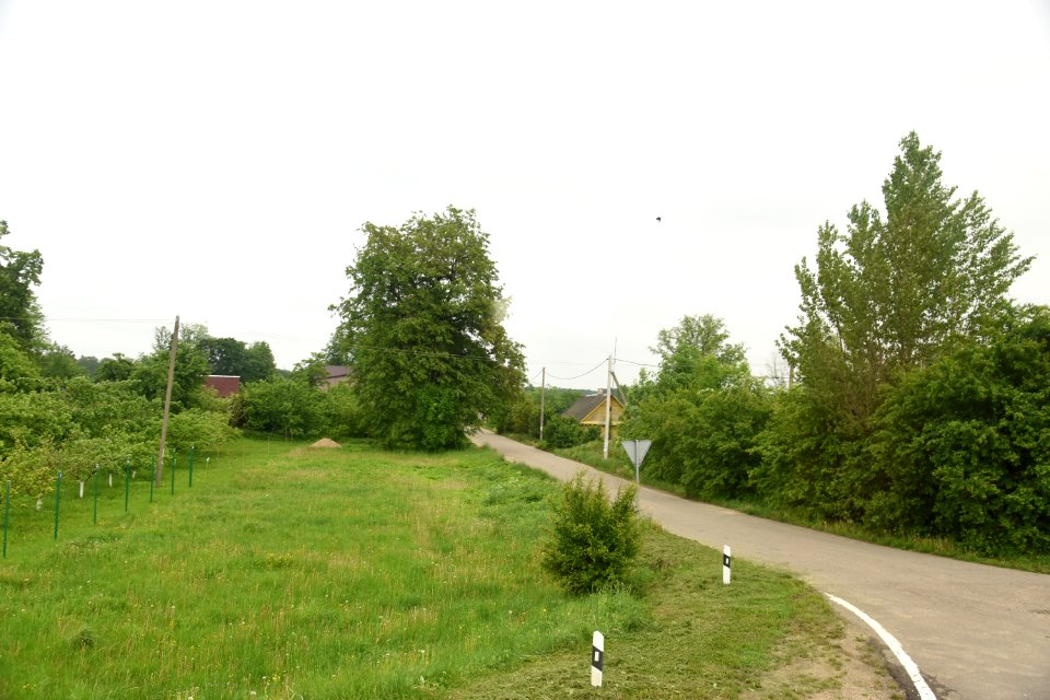 4142_Bierastavica_District,_Belarus._May_2019