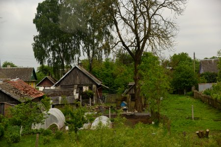 4115_Hrodna_Region,_Belarus_May_2019