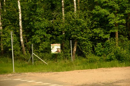 4270_Hrodna_Region_May_2019
