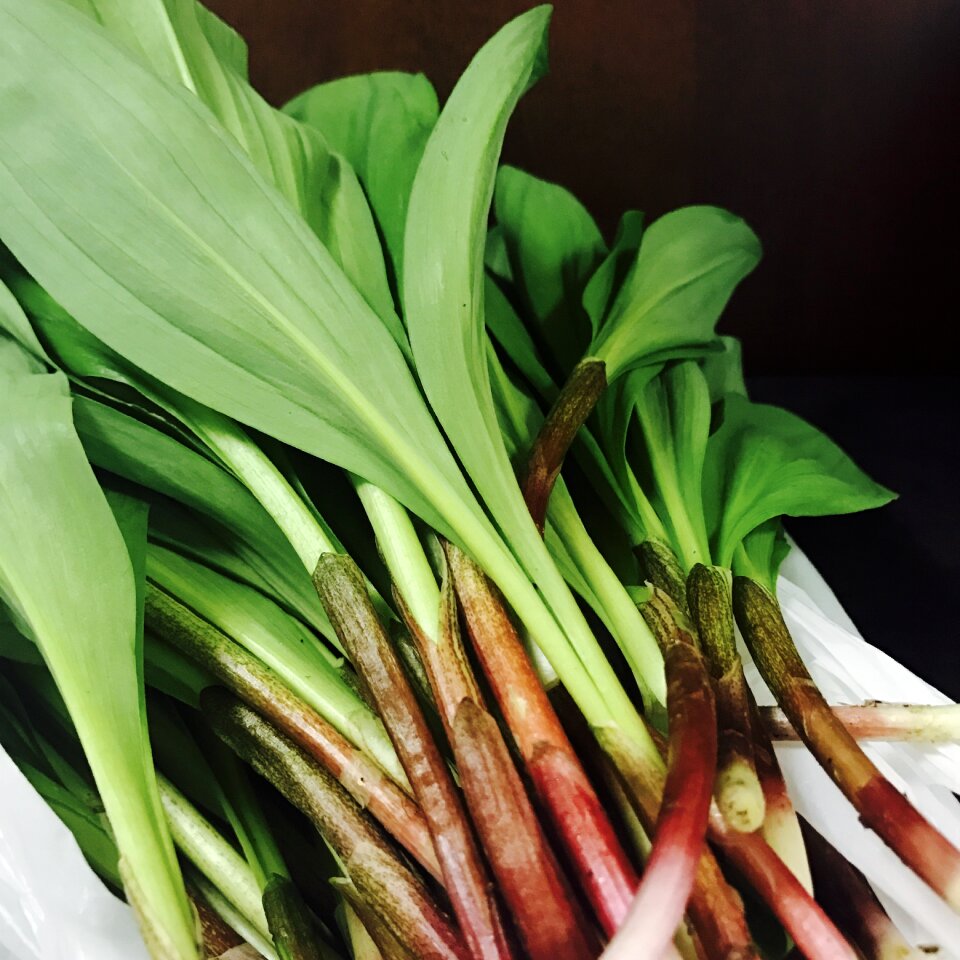 Energy on the garlic ainu onions besides the hotel's host of recreational offerings ensures you have plenty to do to