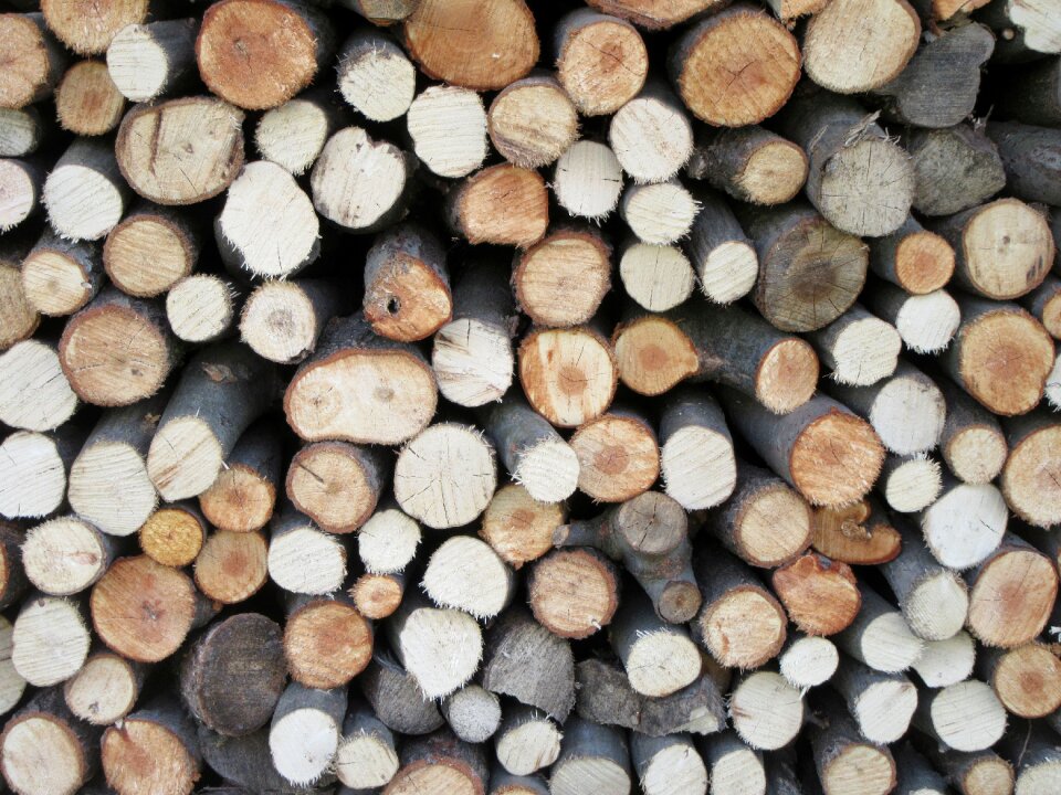 Cut lumber wooden