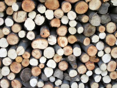 Cut lumber wooden photo