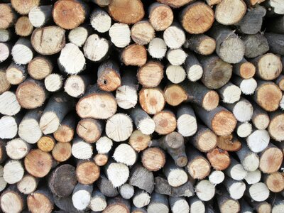 Cut lumber wooden