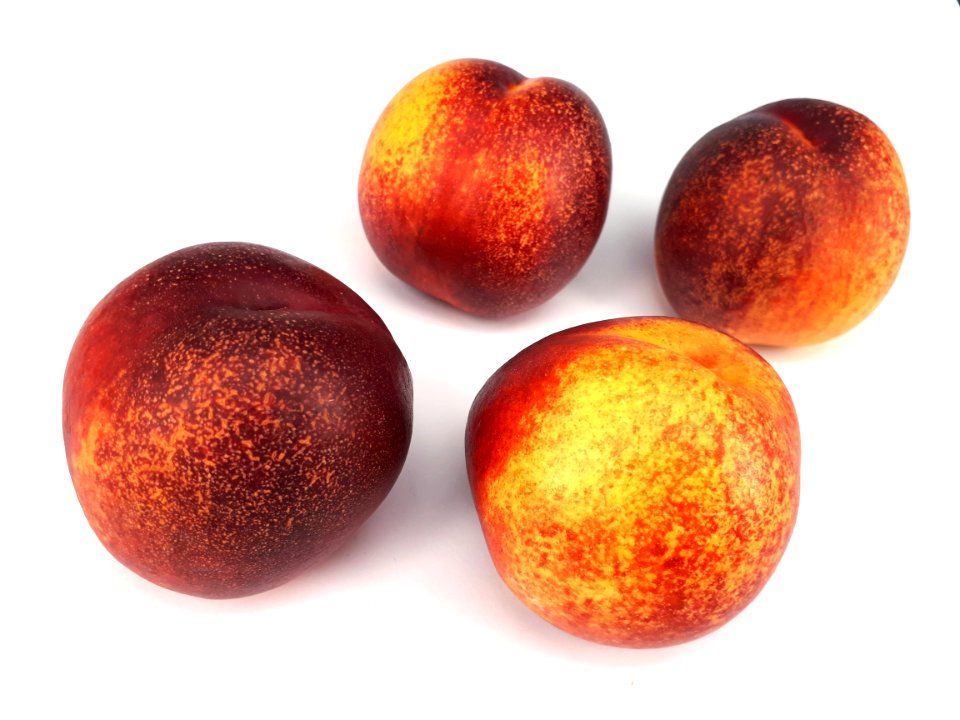 4_x_Spotted_nectarine_2017_A
