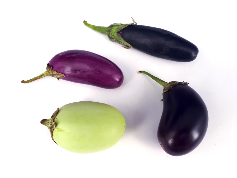 4_x_Small_eggplant_2017_B