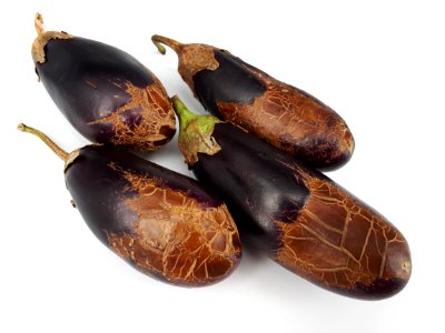 4_x_Eggplant_scab_2017_A