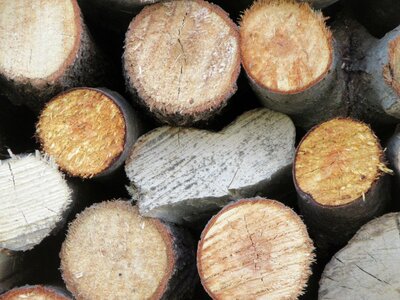 Cut lumber wooden photo