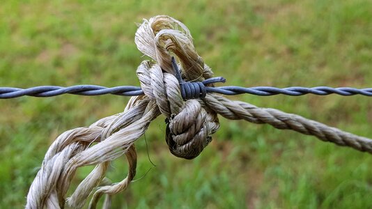 Rope knot connected photo