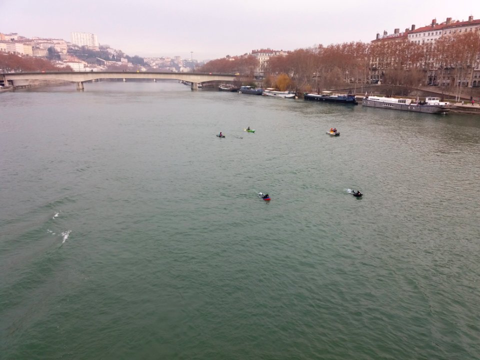 39e_traversée_de_Lyon_à_la_nage_avec_palmes_-_Depuis_la_passerelle_du_Collège_-_06