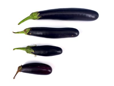 4_x_Orient_Express_eggplant_2017_A