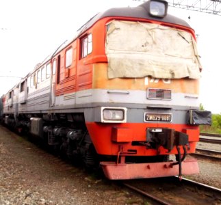 2М62У-0081_f001
